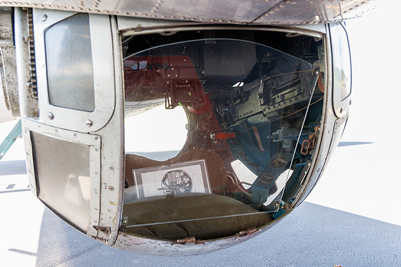 R5A_3623